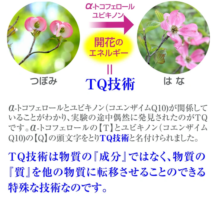 TQ技術の塩石けん